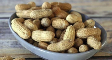 Jak správně sušit arašídy doma, nejlepší způsoby